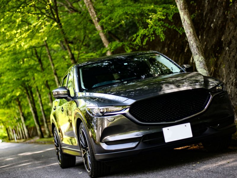 新車・中古車・国産車・外車